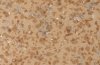 ACCZENT MINERAL 100011