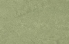 Натуральный линолеум willow 3240