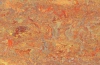 Натуральный линолеум Asian tiger 3403