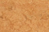 Натуральный линолеум Sahara 3174