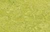 Натуральный линолеум chartreuse 3224