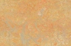 Натуральный линолеум sunny day 3411