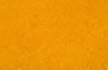 Натуральный линолеум golden sunset 3125