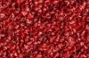 red 362