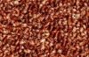 rust 365