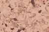 Напольное покрытие PRIMO PLUS DEPOT 307