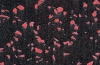 Спортивное  покрытие Regupol  black-red