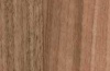 Коммерческий линолеум Eternal Wood Decibel 710232