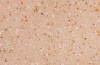 Коммерческий линолеум Smaragd Lux FR 6234