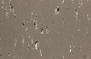 Натуральный линолеум Artoleum Graphic 1090163_6