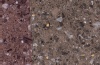 Коммерческий линолеум 1207-1