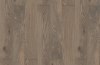 Europlank_Polo